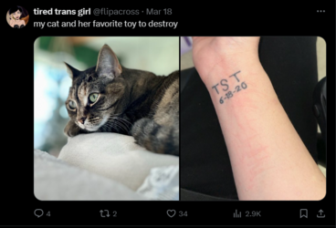 FireShot Capture 907 - tired trans girl (@flipacross) _ X - twitter.com.png