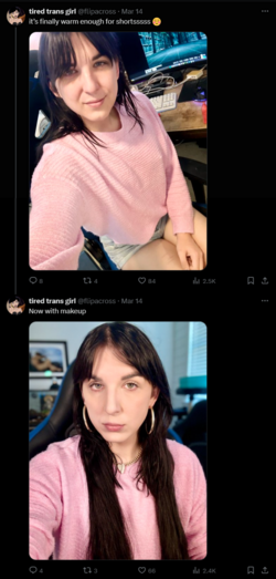 FireShot Capture 912 - tired trans girl (@flipacross) _ X - twitter.com.png