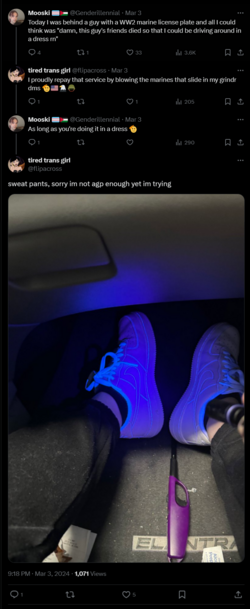 FireShot Capture 918 - tired trans girl on X_ _@Genderillennial sweat pants, sorry im not ag_ ...png