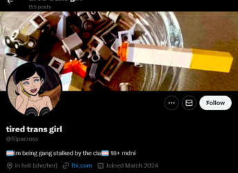 FireShot Capture 919 - tired trans girl (@flipacross) _ X - twitter.com.png