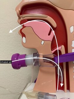 IMG_4119.jpeg