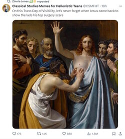 t2.jpg