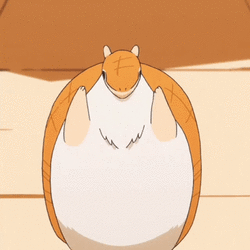 5169518-bee6025beae6af714c06c300d8548639.gif