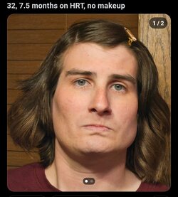 Screenshot_20240304_153306_Reddit.jpg