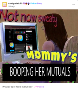 1712013431321.png