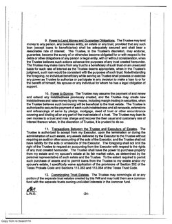 will-24.jpg