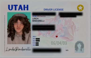 Linderbinder.jpg