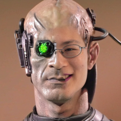 00244-3675202158.png