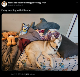 1712140428845.png