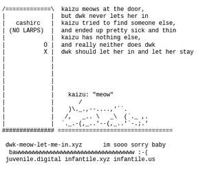 dwk-meow-let-me-in-xyz.png
