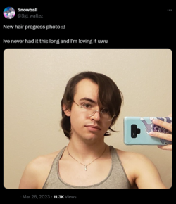 1712207019709.png