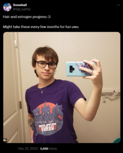 1712207062556.png