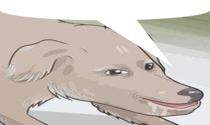 anime is le gay.jpg