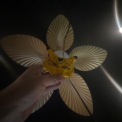iap_300x300.5582844500_7zv64s5h.jpg
