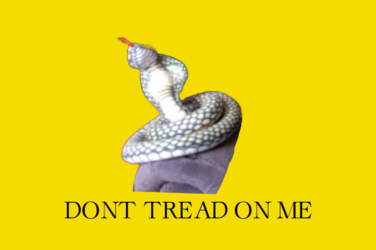 1712241240670.png