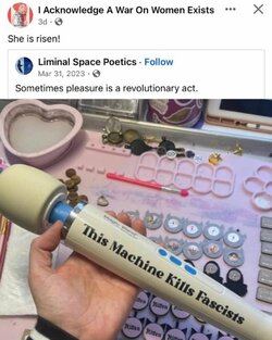 ThisMachineKillsFascistsDildo.jpeg