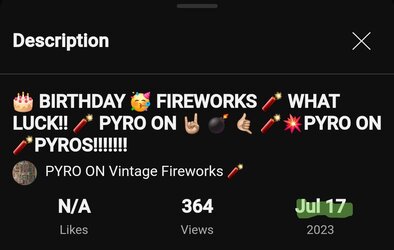 Pyro on birthday.jpg
