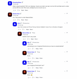 z5.png