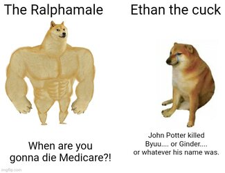 8lp4m8.jpg