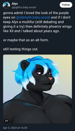 b3.png