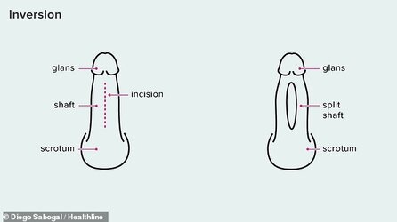 83279811-13272711-image-a-41_171.jpg
