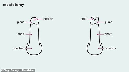 83279813-13272711-image-a-39_171.jpg