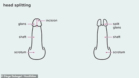 83279817-13272711-image-a-38_171.jpg