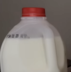 nik_02.png
