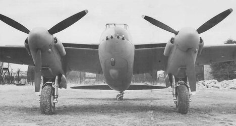 dh98tsetse-11.jpg