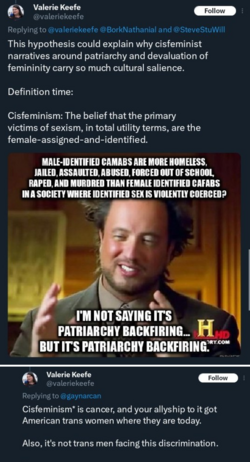 cisfeminism.png
