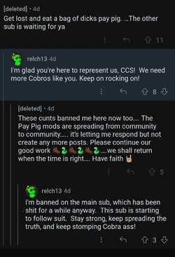 pro ccs1.jpg
