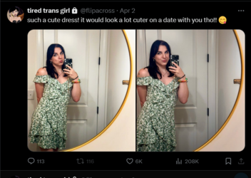 FireShot Capture 964 - (1) tired trans girl (@flipacross) _ X - twitter.com.png