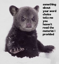 disappointed bearcub.jpg