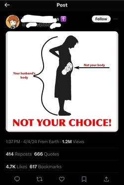 til-that-its-not-the-womans-body-its-the-husbands-v0-7y3zfg5lfqsc1.jpeg