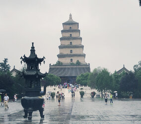 Wild goose pagoda.jpeg