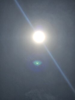 20240408_135449.jpg