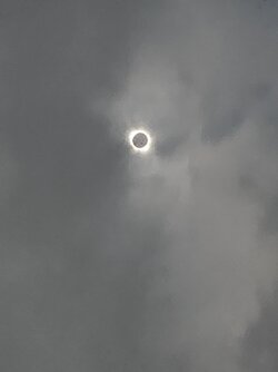 1000016569.jpg