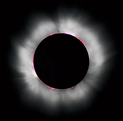 1712603387143.png