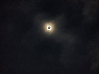 PXL_20240408_185033881.jpg