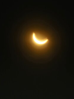 20240408_152819.jpg