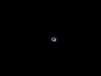 20240408_133602.jpg