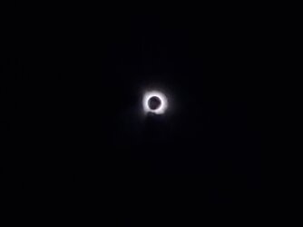 20240408_133655.jpg