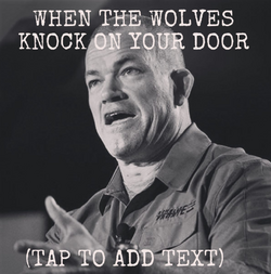 seal jocko.png