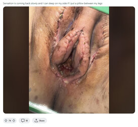 CW_gross2.jpg