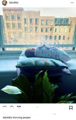 IMG_7986.jpeg