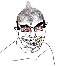 schizochud.jpg