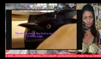 Screenshot_20240411_025837_YouTube.jpg