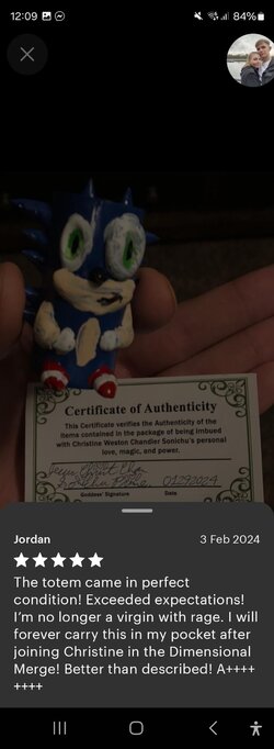today-i-learnt-chris-chan-bought-my-sonic-totem-model-and-v0-53x5yqckvttc1.jpg