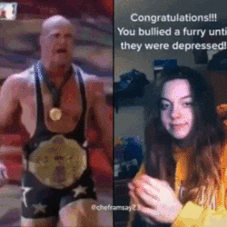 595.gif