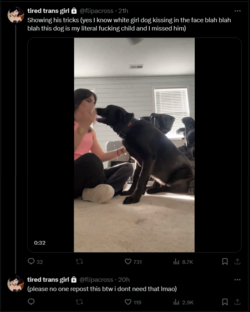 FireShot Capture 1016 - tired trans girl (@flipacross) _ X - twitter.com.png